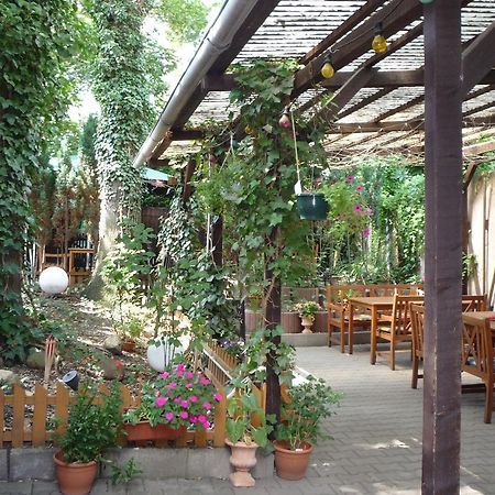 Gasthof & Pension Hause Halle  Bagian luar foto